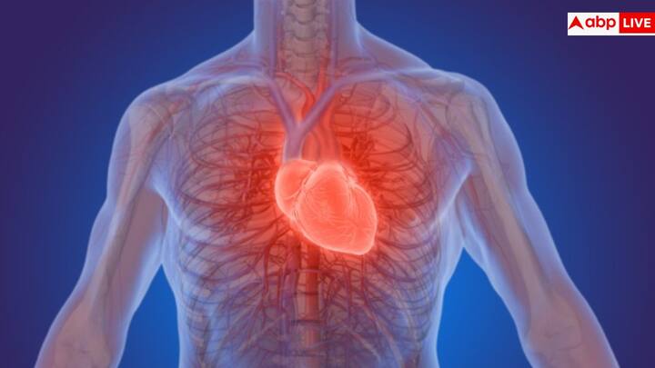 According to doctors, starting the morning slowly is important for heart health. Drinking water as soon as you wake up, taking medicines on time and having light food or protein-filled drinks gives relief to the heart. This reduces the morning heart stress window to a great extent.