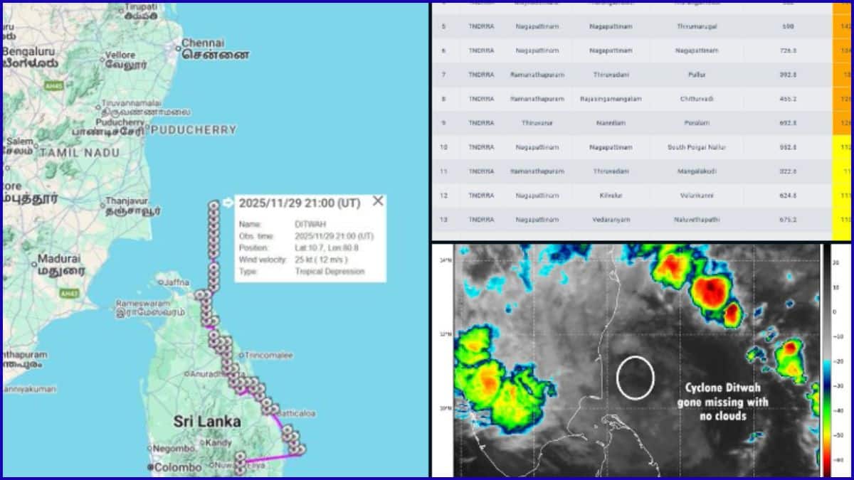 Ditwah Cyclone Update: Ditch செய்த 'டிட்வா' புயல்.?! வெதர்மேன் கொடுத்த முக்கிய அப்டேட் - மழை இருக்குமா.? இருக்காதா.?