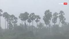 श्रीलंका के बाद अब दक्षिण भारत में दित्वा बरपा सकता है कहर, जानें कैसा रहेगा मौसम का हाल