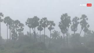 श्रीलंका के बाद अब दक्षिण भारत में दित्वा बरपा सकता है कहर, जानें कैसा रहेगा मौसम का हाल