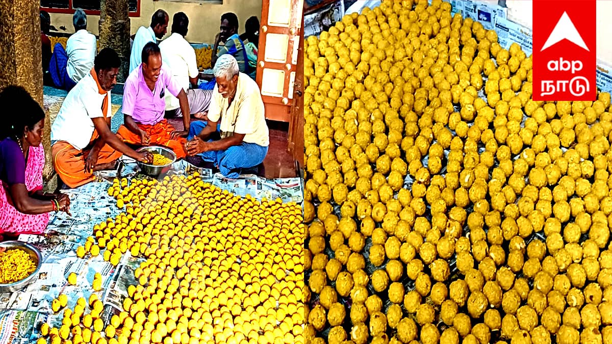 Tiruvannamalai Deepam 2025 : திருவண்ணாமலை தீபம்: மோட்சம் தரும் மகா தீபத்திற்காக 50,000 லட்டுகள் தயார்!