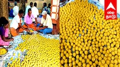 Tiruvannamalai Deepam 2025 : திருவண்ணாமலை தீபம்: மோட்சம் தரும் மகா தீபத்திற்காக 50,000 லட்டுகள் தயார்!
