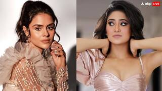 2025 Year Ender: इन साल टीवी सेलेब्स का हुआ ब्रेकअप, प्रियंका चाहर चौधरी से लेकर शिवांगी जोशी तक का नाम शामिल