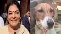 Congress MP Renuka Chowdhury : కాంగ్రెస్ ఎంపీ రేణుకా చౌదరి పార్లమెంటులోకి కుక్కను తీసుకొచ్చే వీడియో వైరల్‌! 'ప్రజాస్వామ్యానికే అవమానం అంటున్న బీజేపీ!