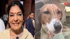 संसद में पालतू कुत्ता लेकर पहुंचीं रेणुका चौधरी, वीडियो हो गया वायरल, भड़की बीजेपी बोली- ‘लोकतंत्र का अपमान’