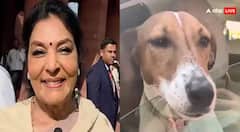 ਪਾਰਲੀਮੈਂਟ 'ਚ ਪਾਲਤੂ ਕੁੱਤਾ ਲੈਕੇ ਪਹੁੰਚੀ ਕਾਂਗਰਸ ਸਾਂਸਦ, ਵੀਡੀਓ ਵਾਇਰਲ, ਭੜਕੀ BJP