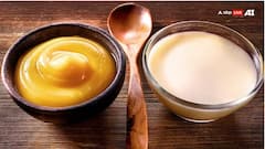 ਪਤੰਜਲੀ ਦੇ ਦੇਸੀ ਘਿਓ ਤੇ ਦੁੱਧ 'ਤੇ ਸਵਾਲ ! ਫੂਡ ਸੇਫਟੀ ਟ੍ਰਿਬਿਊਨਲ ਕੋਲ ਅਪੀਲ ਦਾਇਰ ਕਰੇਗੀ ਕੰਪਨੀ, ਜਾਣੋ ਕੀ ਹੈ ਪੂਰਾ ਮਾਮਲਾ