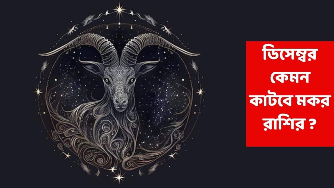 December 2025 Horoscope Capricorn : ডিসেম্বরের শেষার্ধে 'কেঁদে কূল পাবে না' এই রাশি, আর্থিক সমস্যা-সম্পর্কে তিক্ততা-মানসিক চাপ, ক্লান্তি