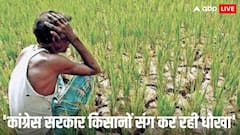 खेती के लिए लिया 15 लाख का लोन, बाढ़ में तबाह हो गई फसल; किसान ने कीटनाशक पीकर दी जान