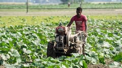 एमपी के किसानों का आंदोलन, अपनी मांगों को लेकर खलघाट टोल प्लाजा पर जमा होंगे किसान