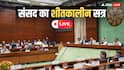 Parliament Winter Session Live: 'ब्रिटिश शासन जैसा व्यवहार...', शीतकालीन सत्र से पहले शिवसेना सांसद ने केंद्र सरकार पर साधा निशाना