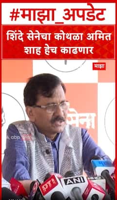 Sanjay Raut on Ekanth Shinde Amit Shah : शिंदे सेनेचा कोथळा अमित शाह हेच काढणार