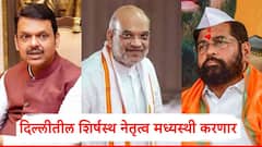 भाजप अन् शिवसेना शिंदे गटातील वाद विकोपाला; प्रचारात एकमेकांचे लचके तोडले, आता दिल्लीतील शिर्षस्थ नेतृत्व मध्यस्थी करणार