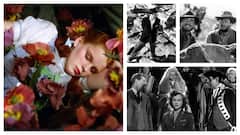 हॉलीवुड लवर हैं तो जरूर देखें ये क्लासिक फिल्में,  OTT पर हो रहीं स्ट्रीम