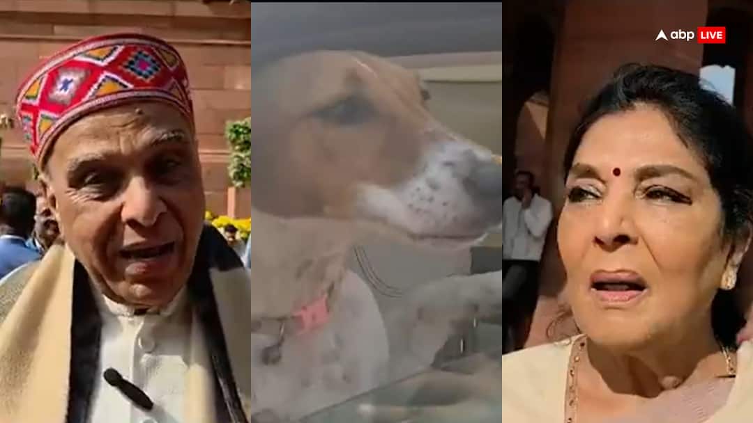 Congress MP Arrives In Parliament With Dog, Jagdambika Pal Demands Action