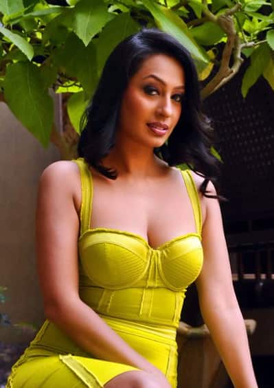 उन्होंने 1997 में 'यस बॉस' से बॉलीवुड में डेब्यू किया और हिंदी के अलावा मराठी, तमिल, तेलुगु, और भोजपुरी फिल्मों में भी काम किया है.