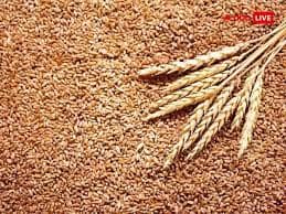 गेहूं का दान- गेहूं का दान करना सुख-सौभाग्य को बढ़ाता है और कुंडली में सूर्य ग्रह को मजबूत करता है. इस दिन गेहूं का दान करने से आत्मविश्वास, प्रतिष्ठा, सरकारी काम और पिता से संबंधित मामलों में सुधार आता है. जीवन में सकारात्मक ऊर्जा बढ़ती है.