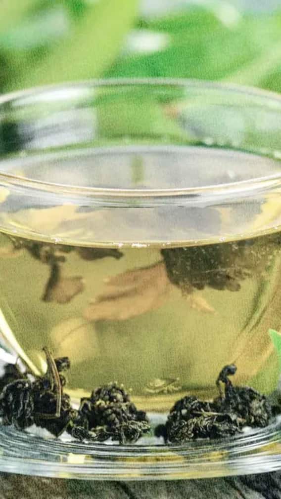 గ్రీన్ టీ చాలా చేదుగా ఉన్నా… ఆరోగ్యానికి అద్భుతం!