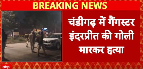 Bishnoi Gang War: Lawrence Bishnoi Gang Guns down Inderpreet 'Parry' in Chandigarh