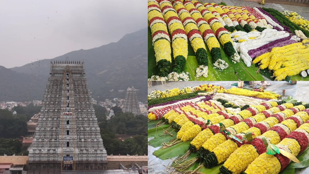 திருவண்ணாமலை தீப திருவிழா 2025: காஞ்சிபுரத்திலிருந்து புறப்பட்ட மலர் மாலைகள்! 163 ஆண்டு பாரம்பரியம்!