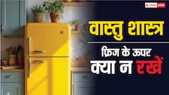 फ्रिज के ऊपर न रखें ये चीजें, होगा भयंकर वास्तु दोष, रुक जाएगी बरकत
