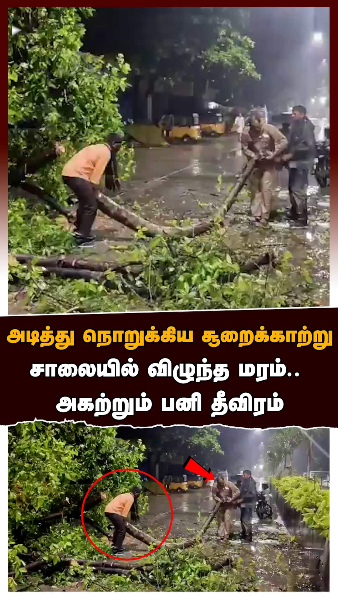 அடித்து நொறுக்கிய சூறைக்காற்று.. சாலையில் விழுந்த மரம்..  அகற்றும் பனி தீவிரம்