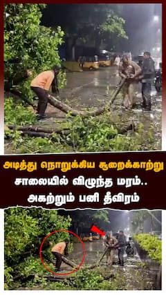 அடித்து நொறுக்கிய சூறைக்காற்று.. சாலையில் விழுந்த மரம்..  அகற்றும் பனி தீவிரம்