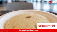 এই নামকরা ক্যাফের খাবারে 'বড়পোকা' ! ধরা পড়তে হুমকির অভিযোগ ক্রেতার নামেই, এবার FIR মালিকের বিরুদ্ধে
