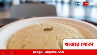 এই নামকরা ক্যাফের খাবারে 'বড়পোকা' ! ধরা পড়তে হুমকির অভিযোগ ক্রেতার নামেই, এবার FIR মালিকের বিরুদ্ধে