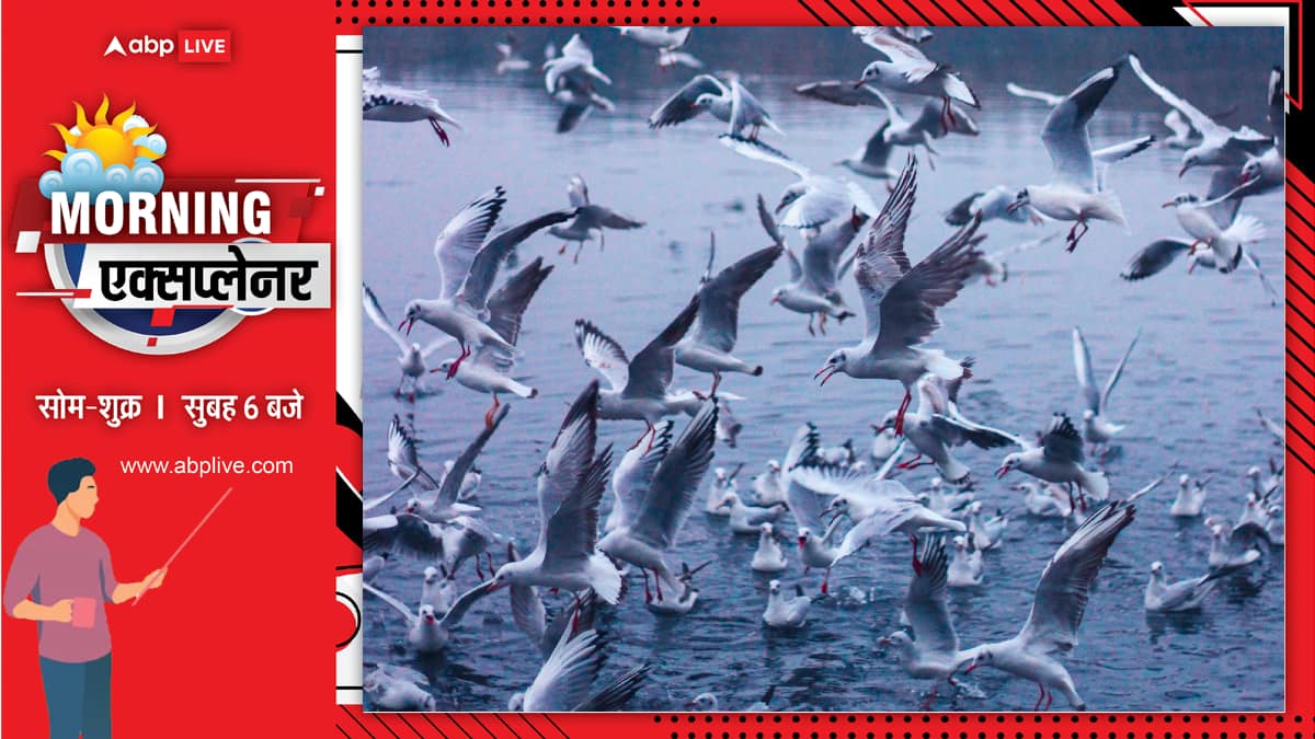 Explained: सूरज-सितारों को रहबर बनाकर, हजारों किलोमीटर का सफर कैसे तय करते प्रवासी पक्षी, आखिर भारत ही ठिकाना क्यों?