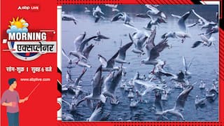 Explained: सूरज-सितारों को रहबर बनाकर, हजारों किलोमीटर का सफर कैसे तय करते प्रवासी पक्षी, आखिर भारत ही ठिकाना क्यों?