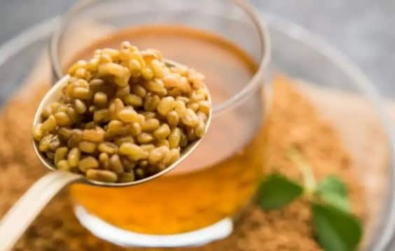 મેથીના દાણાને પાણીમાં પલાળી રાખવાથી તેના બધા પોષક તત્વો ઓગળી જાય છે. આ પાણી તૈયાર કરવા માટે પહેલા એક ગ્લાસ સ્વચ્છ પાણી લો અને તેમાં 2-3 ચમચી મેથીના દાણા ઉમેરો. તેને આખી રાત પલાળી રાખો. પછી, બીજા દિવસે સવારે પાણી ઉકાળો અને ગાળી લો અને પીવો. તમે તેને ઉકાળ્યા વિના પણ પી શકો છો. સ્વાદ વધારવા માટે તમે લીંબુનો રસ અને મધ પણ ઉમેરી શકો છો.