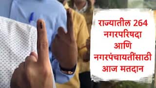 Maharashtra Nagarparishad LIVE: राज्यात 264 नगरपरिषद, नगरपंचायतीत आज मतदान, राज्यातील मतदार कोणाला कौल देणार?