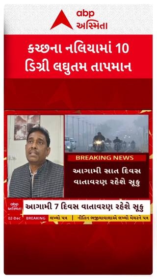 Gujarat winter : રાજ્યમાં ફરી વધ્યું ઠંડીનું જોર, નલિયામાં 10 ડિગ્રી લઘુતમ તાપમાન નોંધાયું