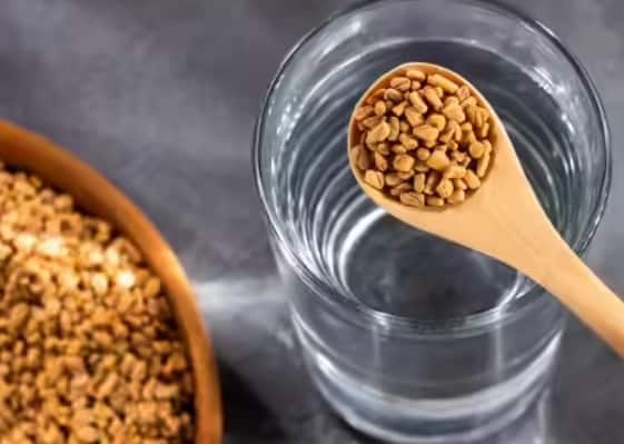 શિયાળાની ઋતુમાં વજન વધવું એ એક સામાન્ય સમસ્યા છે. જો તમે વજન ઓછું કરવા માંગતા હોય તો તમે મેથીનું પાણી પી શકો છો. તેમાં ફાઇબર હોય છે, જે તમને લાંબા સમય સુધી પેટ ભરેલું રાખવામાં મદદ કરે છે, ભૂખ ઓછી કરે છે અને વજન ઘટાડવામાં મદદ કરે છે. 15 દિવસ આ પાણી પીવાથી તમારુ વજન ઝડપથી ઘટશે.