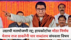 उद्याची मतमोजणी रद्द; हायकोर्टाचा मोठा निर्णय येताच राज ठाकरेंनी चार शब्दांतच संपवला विषय; म्हणाले, 'देशात मनमानी...'