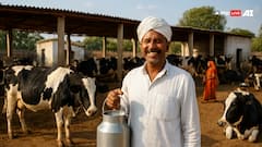 डेयरी मालिकों के लिए बड़ी खबर! 25 दिसंबर से पहले कर लें ये काम, नहीं तो होगा कठोर एक्शन