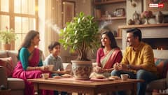 Feng Shui: सुख-समृद्धि के लिए क्रासुला पौधा क्यों है खास? जानें सही दिशा और विधि