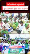 కిలో అరటిపండ్లు అర్థరూపాయ్     రైతులతో కలిసి వైసీపీ నేతల ఆందోళన