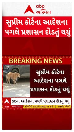 Supreme Court : રખડતા શ્વાનના ત્રાસના મુદ્દે સુપ્રીમકોર્ટના આદેશ બાદ દોડતું થયું પ્રશાસન