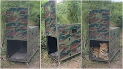 பயம் வேண்டாம்... கவனம் தேவை! விழுப்புரத்தில் சிறுத்தை நடமாட்டம்: வனத்துறையினர் எச்சரிக்கை !