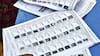 Voter List Update 2025: ડ્રાફ્ટ મતદાર યાદીમાં નામ ન આવે તો શું કરવું? ચૂંટણી પંચે જણાવી આ સરળ રીત, 16 ડિસેમ્બરે પ્રસિદ્ધ થશે લિસ્ટ