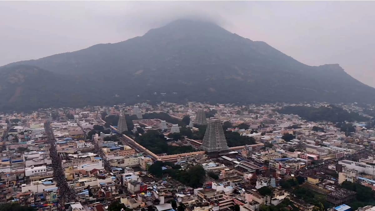 Tiruvannamalai Maha Deepam 2025: இலவச பேருந்து வசதி! 24 இடங்களில் இருந்து பக்தர்களுக்கு சிறப்பு ஏற்பாடு! மிஸ் பண்ணிடாதீங்க!