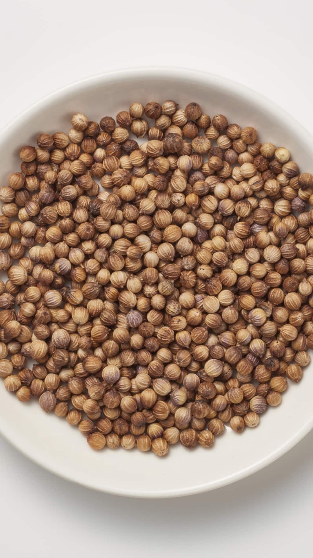 6 Powerful Benefits Of Eating Coriander Seeds You Should Know