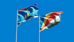 झंडे में लाल-सफेद-हरा सब रंग दिखा, पर पर्पल नहीं? आखिर क्यों ‘कंट्री फ्लैग’ से गायब रहता है यह कलर?