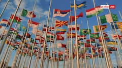 झंडे में लाल-सफेद-हरा सब रंग दिखा, पर पर्पल नहीं? आखिर क्यों ‘कंट्री फ्लैग’ से गायब रहता है यह कलर?