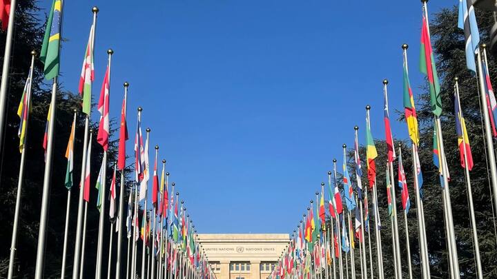 पुराने दौर में जब झंडे हाथ से बनाए जाते थे, तब लाखों में बिकने वाला रंग किसी देश के लिए सिर्फ एक रंग नहीं, बल्कि आर्थिक बोझ बन जाता था. यही वजह थी कि मध्यकालीन साम्राज्य, राजघराने, और यहां तक कि उभरते राष्ट्र भी इस रंग से दूरी बनाए रखते थे.