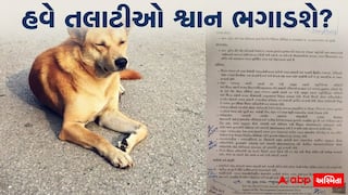 હવે તલાટીઓ ફાઈલો તપાસશે કે શ્વાન ભગાડશે? સરકારે સોંપી આ 'વિચિત્ર' જવાબદારી, ૮ અઠવાડિયાનું અલ્ટીમેટમ!