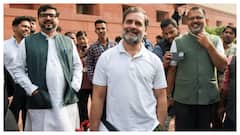 Rahul Gandhi Joins Parliament Dog Controversy, Says 'Pets Are Allowed Inside'