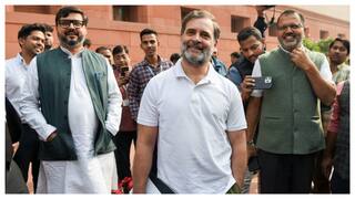 Rahul Gandhi Joins Parliament Dog Controversy, Says 'Pets Are Allowed Inside'